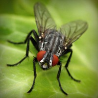 /album/ageneres/photolia-a01-jpg/