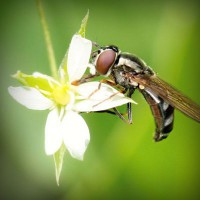 /album/ageneres/photolia-a02-jpg/