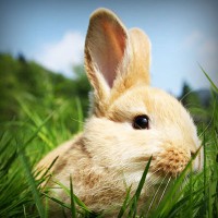 /album/ageneres/photolia-a03-jpg/