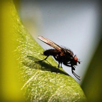 /album/ageneres/photolia-a04-jpg/