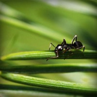 /album/ageneres/photolia-a05-jpg/