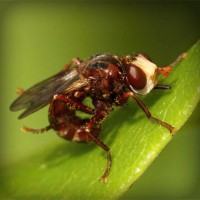 /album/ageneres/photolia-a06-jpg/