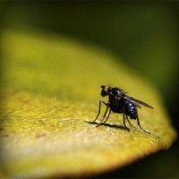 /album/ageneres/photolia-a07-jpg/