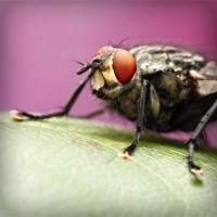 /album/ageneres/photolia-a08-jpg/